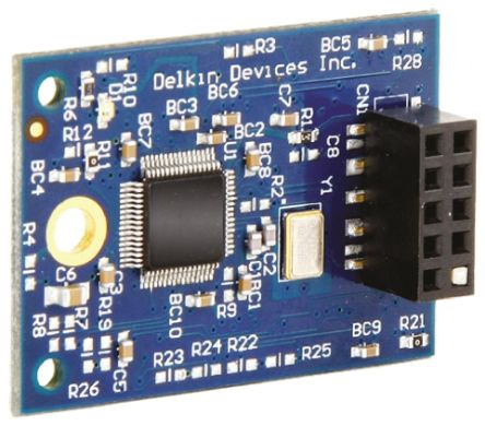 Delkin Devices 1 GB Memory Module