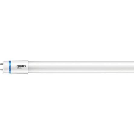 Philips Lighting Philips Master 16.5 W 1600 lm T8 LED Tube Light, Cool White 4000K 840, G13 Cap, 220 &#8594; 240 V