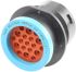 Deutsch Circular Connector, 19 Contacts, Cable Mount, Socket, Male, IP67, HD20 Series