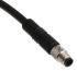 Binder Straight Female 4 way M5 to Unterminated Sensor Actuator Cable, 2m