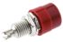 Hirschmann 4 mm香蕉插座, 红色, 30 V ac, 60V 直流, 32A, 焊接式, 23.5mm长, 镀锡, 930176101