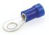 TE Connectivity, PLASTI-GRIP Insulated Crimp Ring Terminal, M4 Stud Size, 1mm² to 2.6mm² Wire Size, Blue