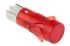 Indicatore da pannello Arcolectric (Bulgin) Ltd Rosso Neon, 230V ca, Sporgente, foro da 12.7mm