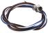 Hirschmann Straight Male 4 way M8 to Unterminated Sensor Actuator Cable, 500mm