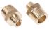 Legris Brass Pipe Fitting, Straight Threaded Adapter, Male R 1/2in to Male R 1/4in
