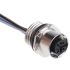 Phoenix Contact Female 5 way M12 to Sensor Actuator Cable, 500mm