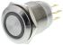 EOZ Illuminated Push Button Switch, Momentary, Panel Mount, 19.2mm Cutout, SPDT, Red LED, IP65