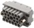 EDAC D-Sub konnektor, fatning, 20-Polet, 516 Serien, Lige, 8.5A
