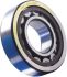 SKF NU 305 ECP 25mm I.D Cylindrical Roller Bearing, 62mm O.D