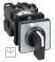 Schneider Electric, DPDT 2 Position Changeover Cam Switch, 690V ac