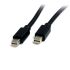 Câble DisplayPort StarTech.com, DP mâle (port d'affichage) mini/ DP mâle (port d'affichage) mini M /M en 2m Noir