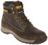 DeWALT 防滑安全靴, 钢包头, 棕色, 欧码45, 男款, Dewalt Apprentice Brown Size 11