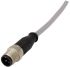 HARTING Straight Male 5 way M12 to Unterminated Sensor Actuator Cable, 1m
