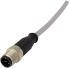 Harting Straight Male 5 way M12 to Unterminated Sensor Actuator Cable, 10m