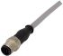 Harting Straight Male 8 way M12 to Unterminated Sensor Actuator Cable, 5m