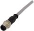 HARTING Straight Male 8 way M12 to Unterminated Sensor Actuator Cable, 10m