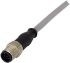 HARTING Straight Female 8 way M12 to Straight Male 8 way M12 Sensor Actuator Cable, 10m