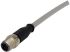 HARTING Straight Male 12 way M12 to Unterminated Sensor Actuator Cable, 5m