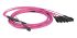 Rosenberger OM4 Multi Mode OM4 Fibre Optic Cable, 50/125μm, Purple, 4m