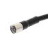 Omron Straight Female 3 way M8 to Unterminated Sensor Actuator Cable, 2m