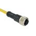 Amphenol Female 17 way M12 to Unterminated Sensor Actuator Cable, 1m