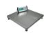 Adam Equipment Co Ltd CPW PLUS 75M Platform Weighing Scale, 75kg Weight Capacity PreCal