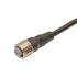 Omron Straight Female M12 to Unterminated Sensor Actuator Cable, 2m