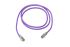 Amphenol Industrial Cat6a RJ45 to RJ45 Ethernet Cable, S/FTP, Purple, 70m