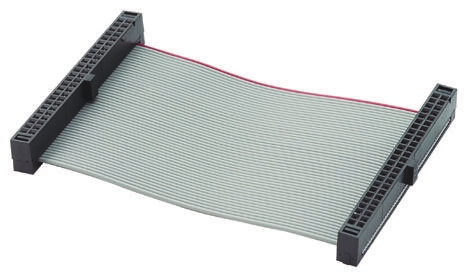 かれー RF481475-01.jpg