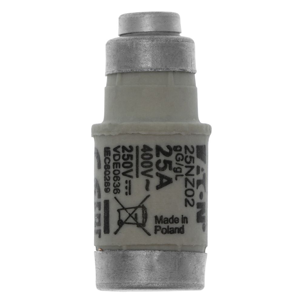 W213160 - D02GG40V25 Fuses | Mersen