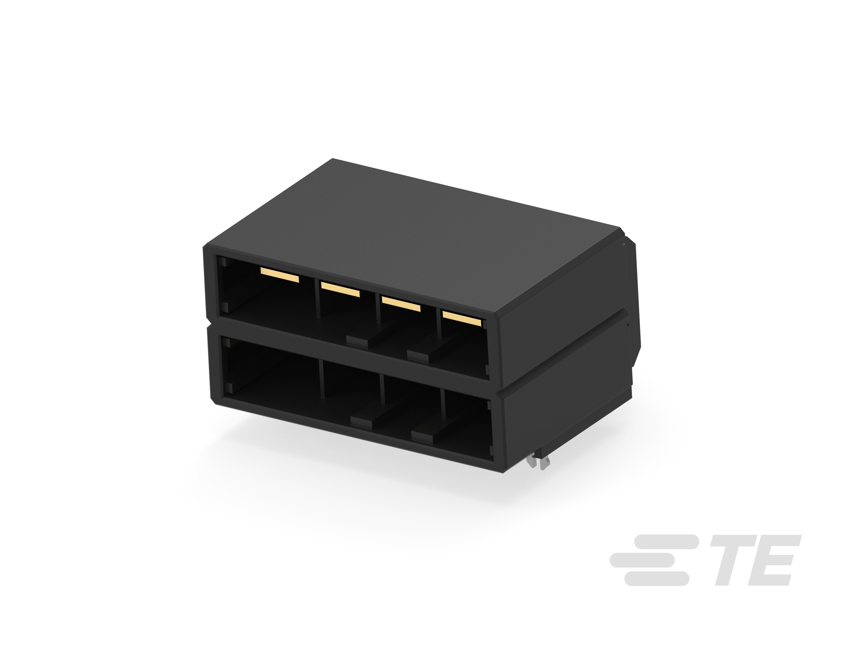 たたーん フルチタン メガホン 4-2-1 ZX-25R/SE(20-) | System Administration