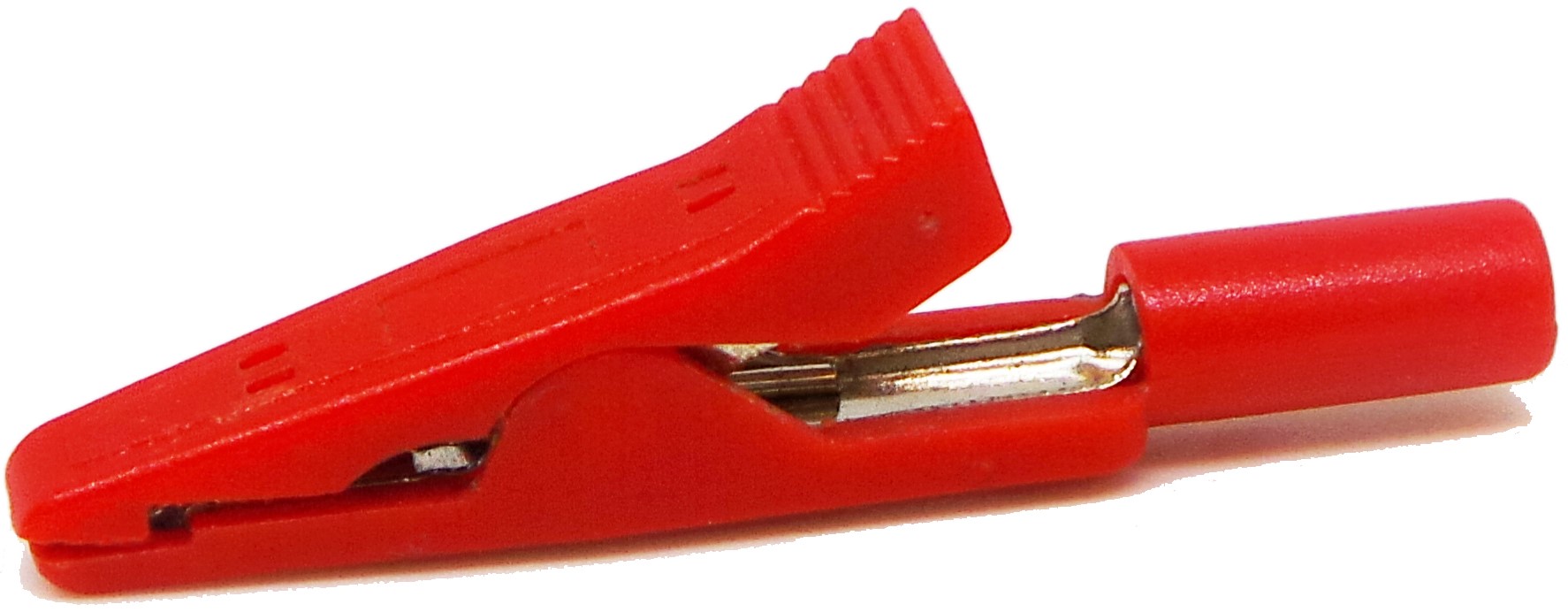 ♦︎のんち♦︎ Y2121204-01.jpg