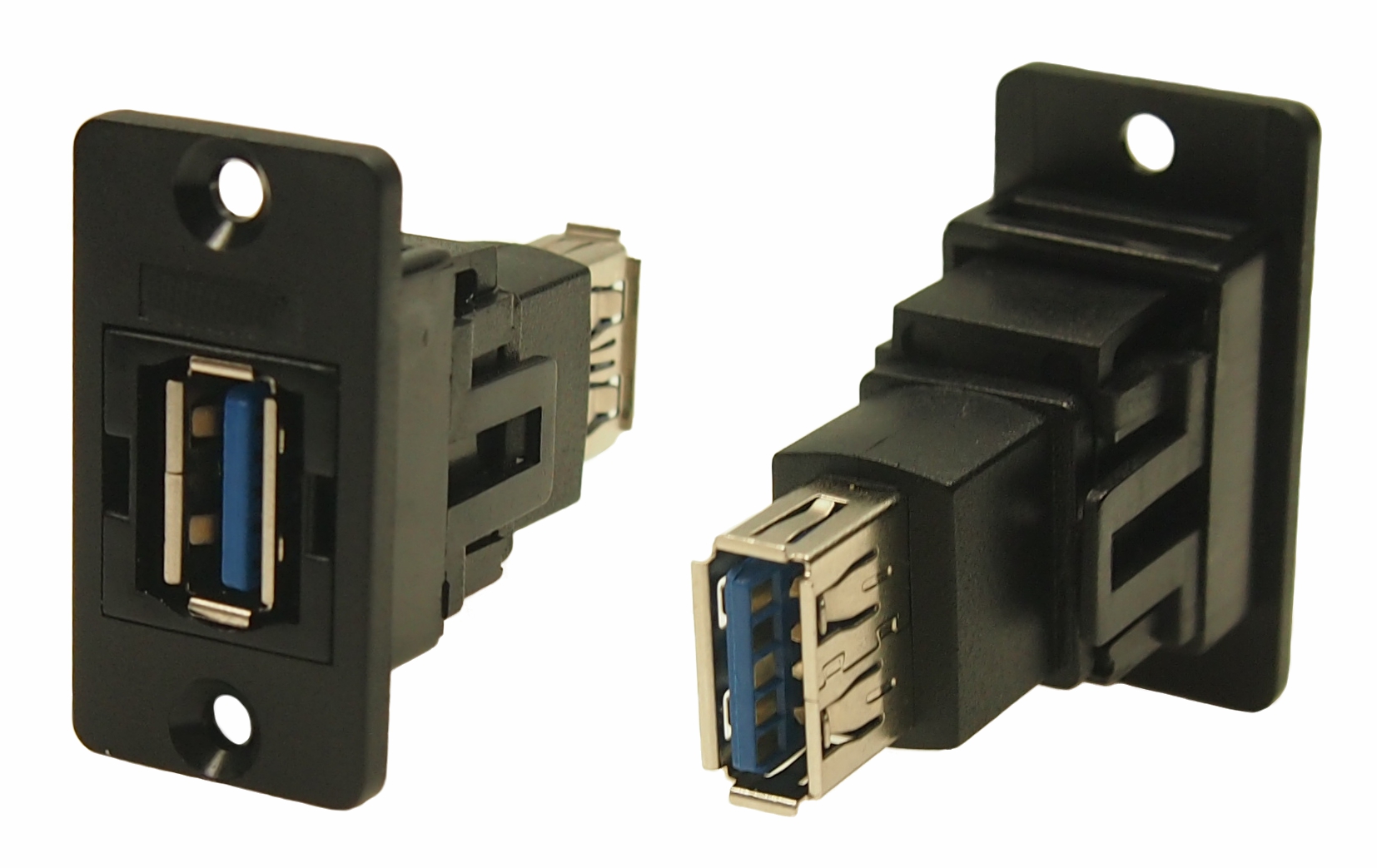 2025新入荷 Y2188300-01.jpg その他