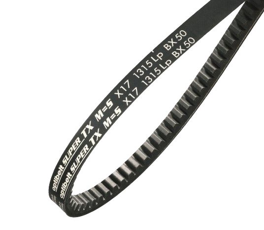 【ぽーりん】 ProTeam Filter Cartridge made from HEPA Media for ProForce