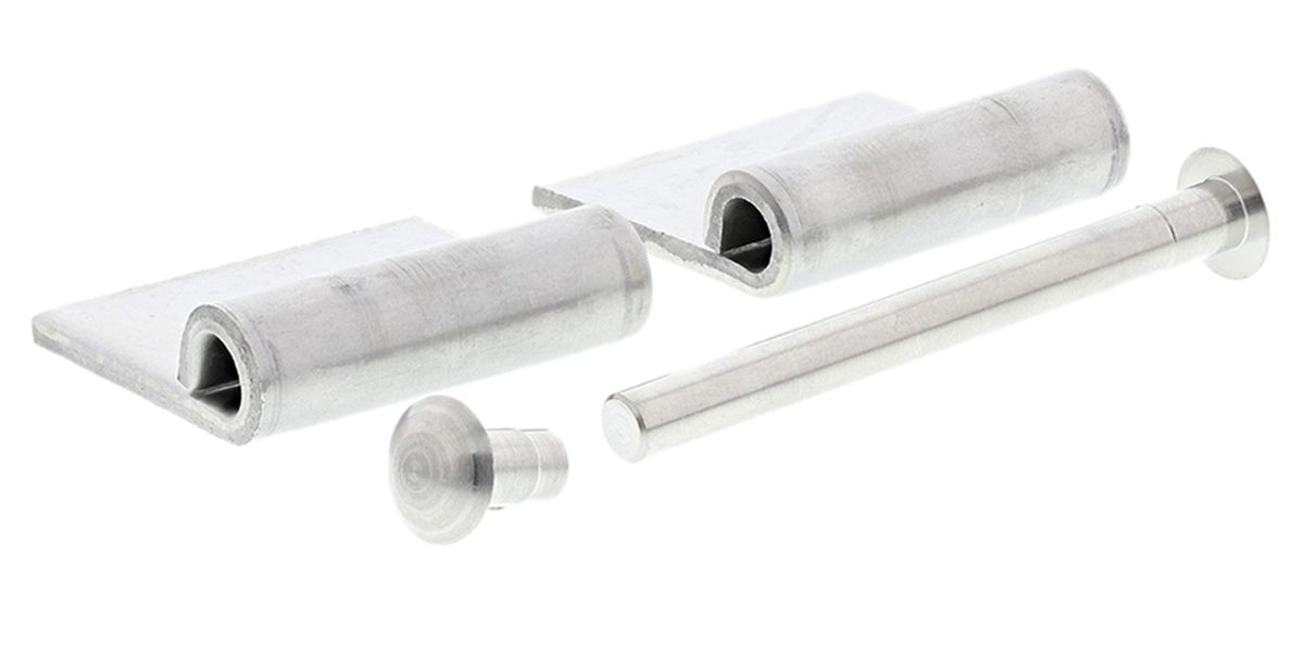 Stainless Steel Pin Hinge, 40mm x 30mm x 3mm RS