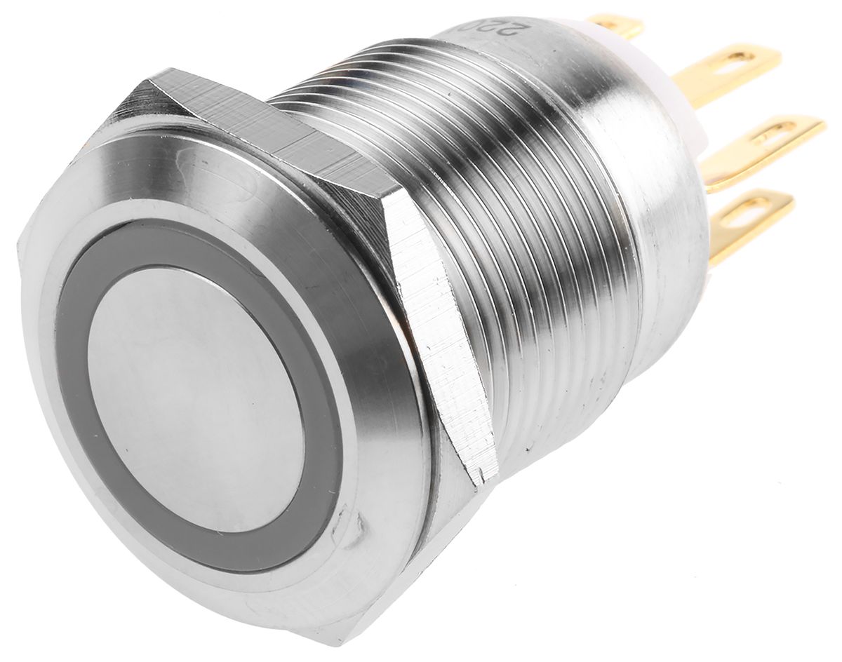 R19FFSSPAGRB220 EOZ Illuminated Momentary Push Button Switch, Panel