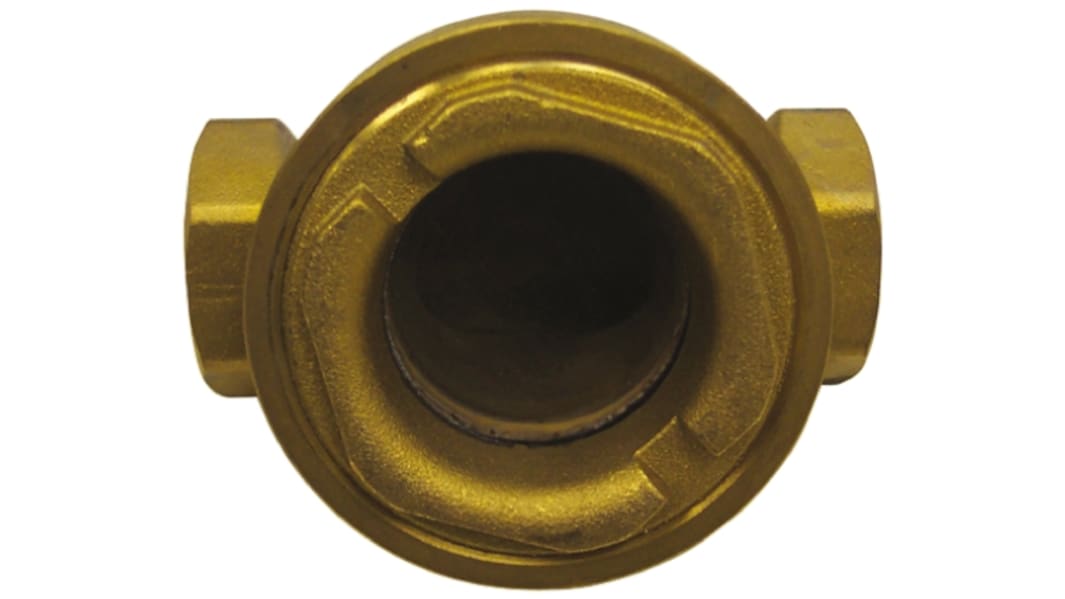 RS PRO Brass Sight Glass Non Return Valve, BSP 1/2in, 12 bar