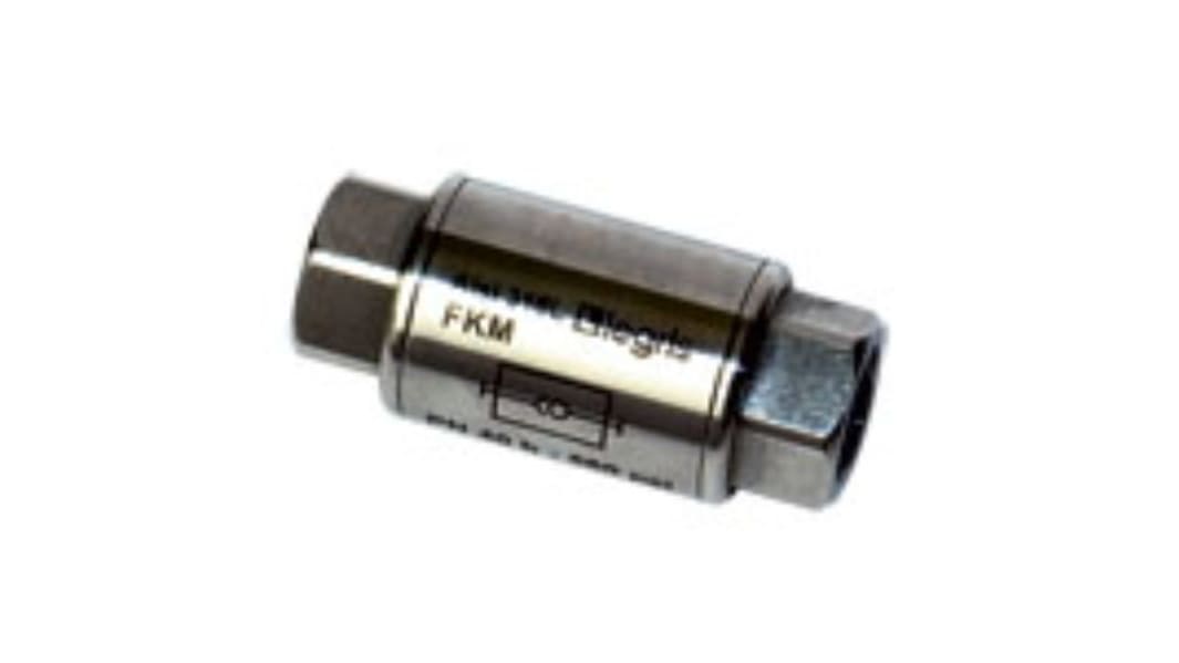 Legris Stainless Steel Single Non Return Valve, G 3/4in, 40 bar