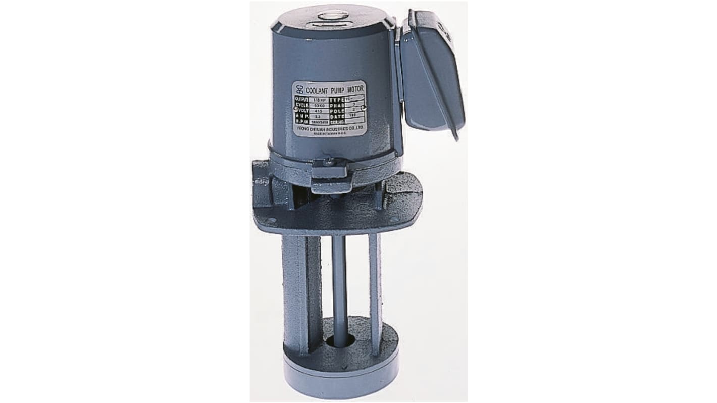 RS PRO Cast Iron 3/8in 230 V ac Suds Pump