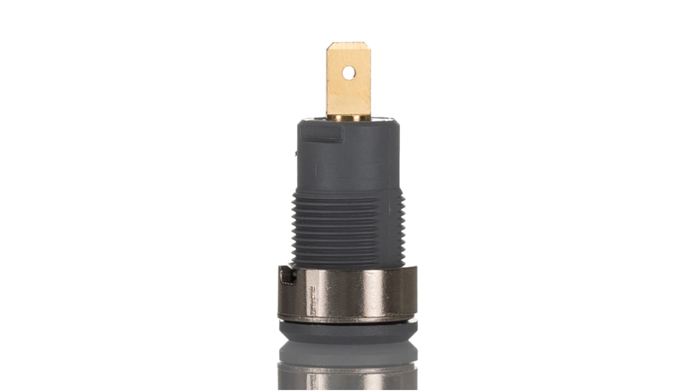 Stäubli 4 mm Bananenbuchse Grau, Kontakt vergoldet, 1000V / 24A Flachstecker