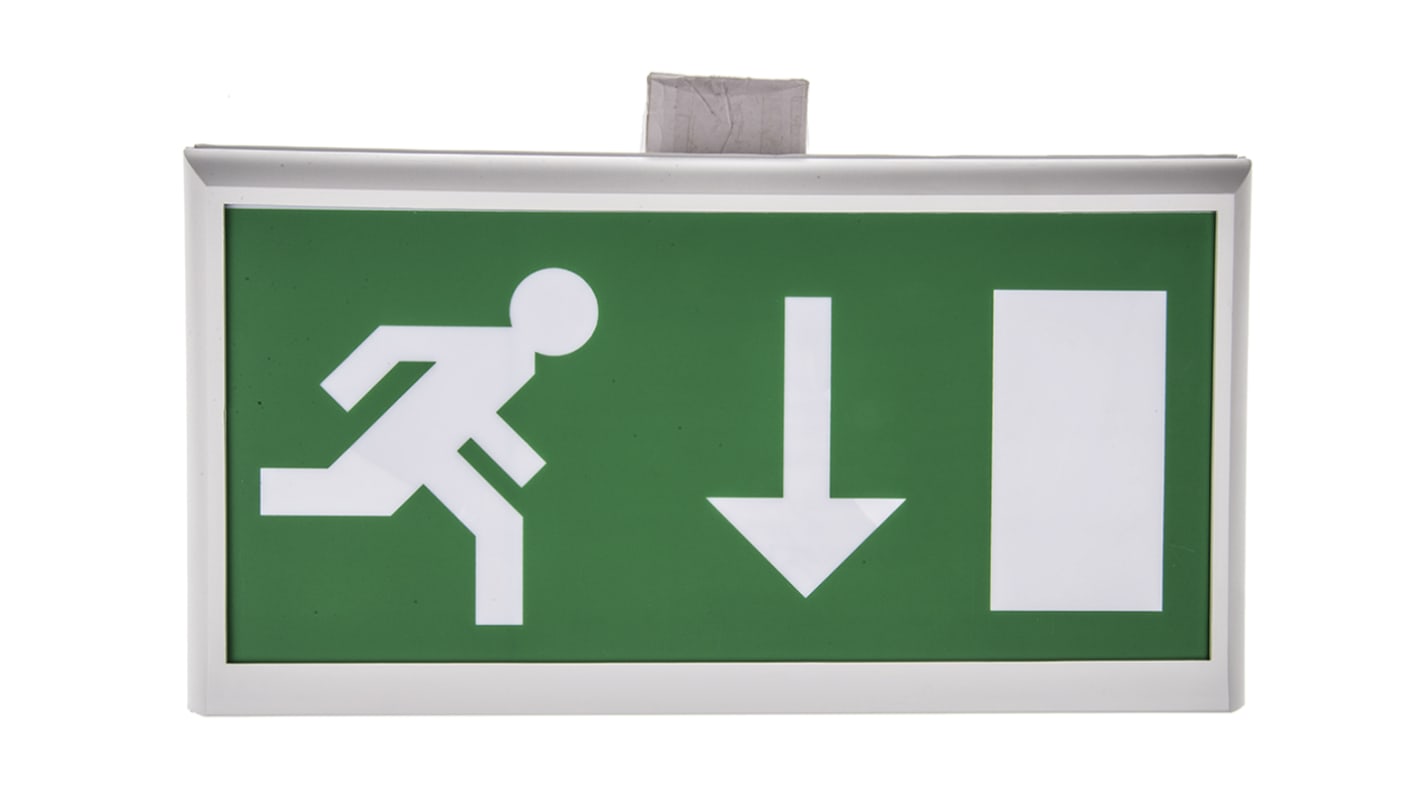 RS PRO T5 Fluorescent Emergency Exit Sign, 3h Non Maintained, Down Arrow Graphic, 8 W, Wall Mount, 80 lm