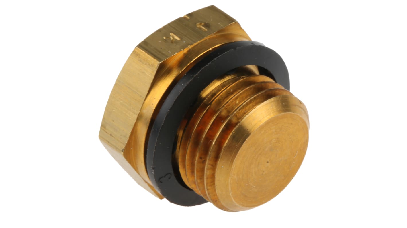 Legris G 1/4 Brass Blanking Plug