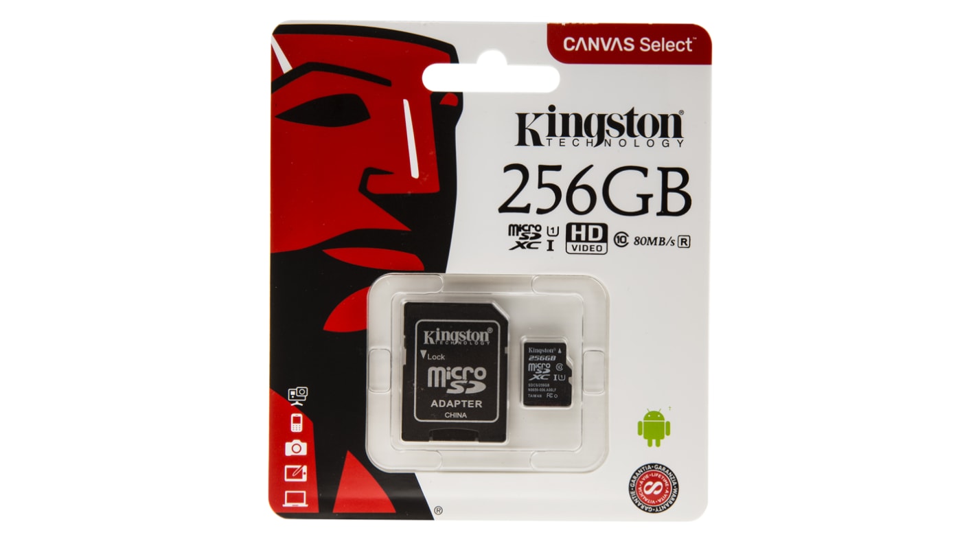 Kingston 256 GB SD Card