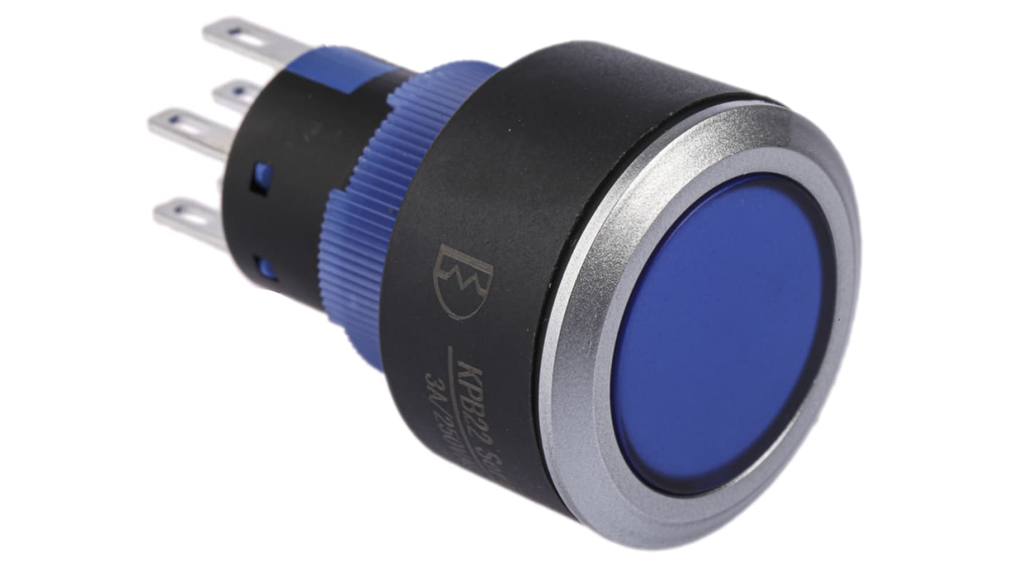 RS PRO 押しボタンスイッチ, モーメンタリ, DPDT, 3 A、5 A, 22.2mm パネルマウント, IP65
