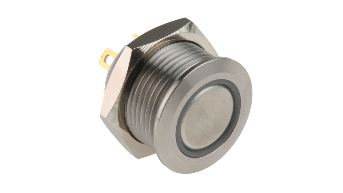 RS PRO Illuminated Push Button Switch, Momentary, Panel Mount, 16mm Cutout, SPST, White LED, 36V dc, IP67