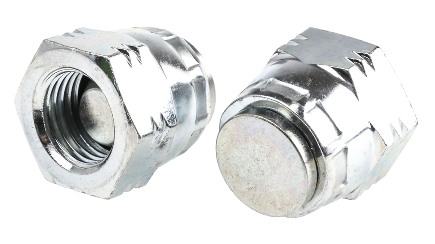 G 1/4 Steel Hydraulic Blanking Cap, 450 bar Max Operating Pressure