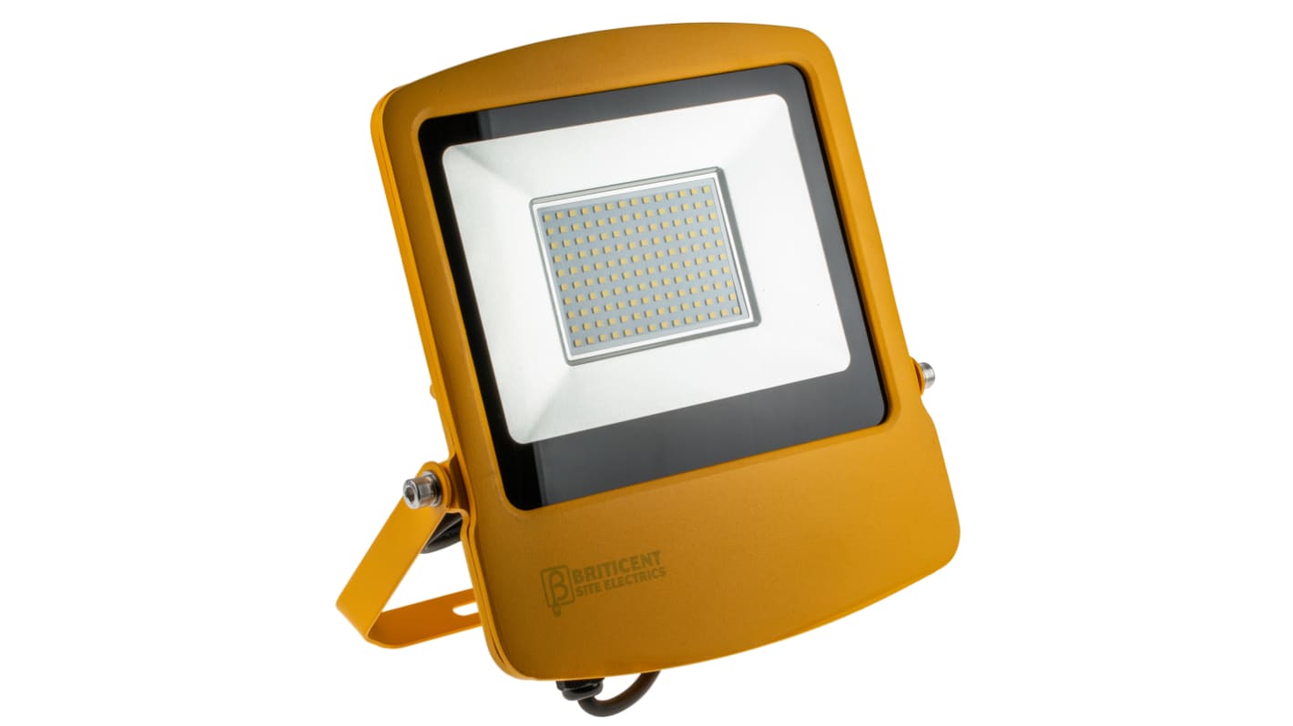 RS PRO Floodlight, 98 LED, 100 W, 9000lm, IP65, 110 V ac