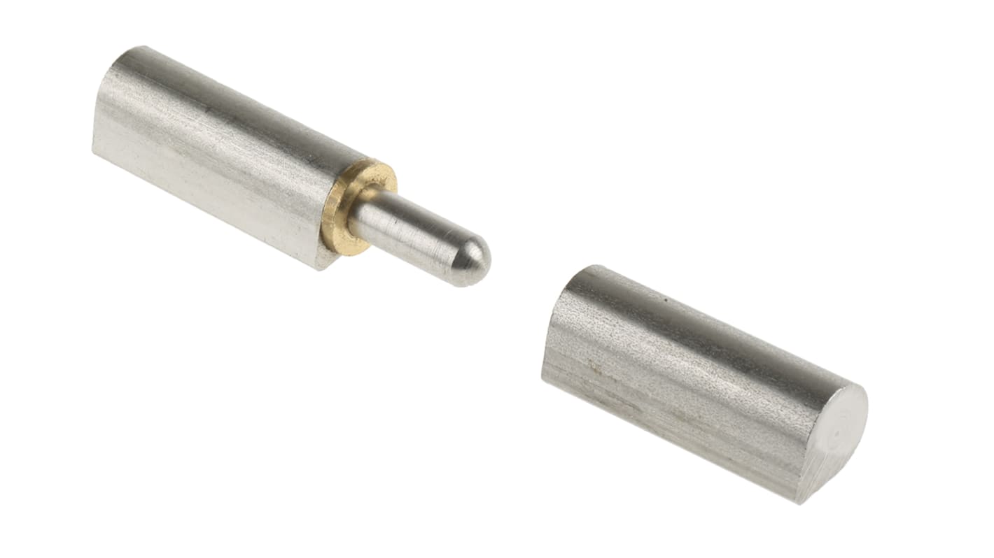 Pinet Stainless Steel Bullet Hinge, Weld-on Fixing, 100mm x 20mm