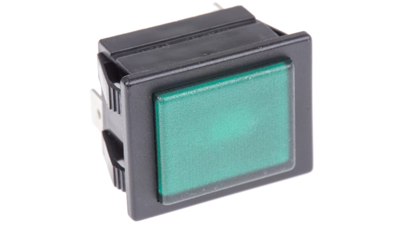 Arcolectric (Bulgin) Ltd 绿色氖灯面板指示灯, 250V, 16A, Φ30 x 22.1mm安装孔, 焊片端接, 凸型边框, 黑色边框, 0480系列