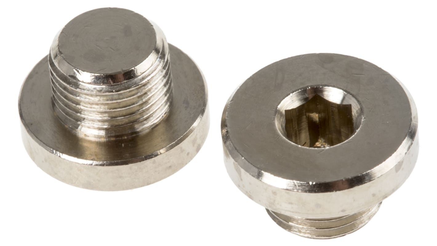 Legris G 1/8 Brass Corrosion Resistant Plug